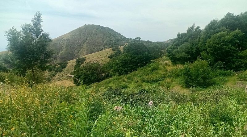 Santo Antão: Mais de 50 agricultores capacitados em boas práticas de fruticultura agro-ecológica