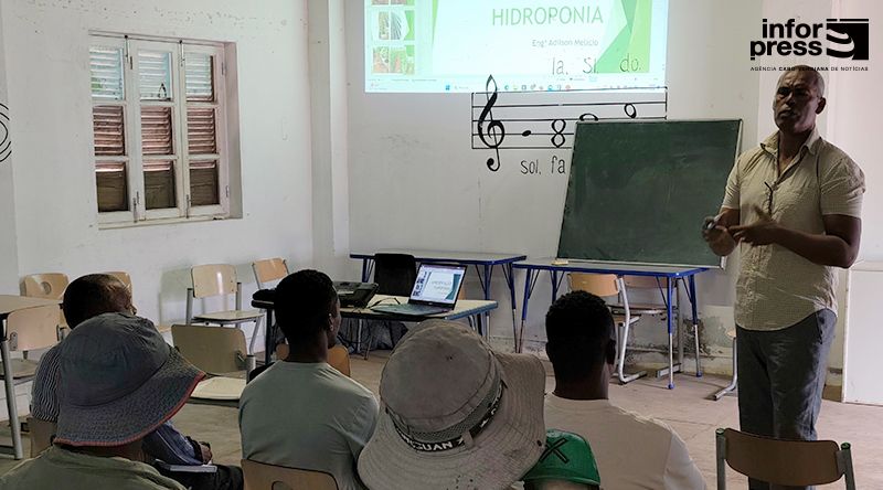 São Nicolau: Formação capacita agricultores de Ribeira Brava em técnicas de produção em estufas e hidroponia 