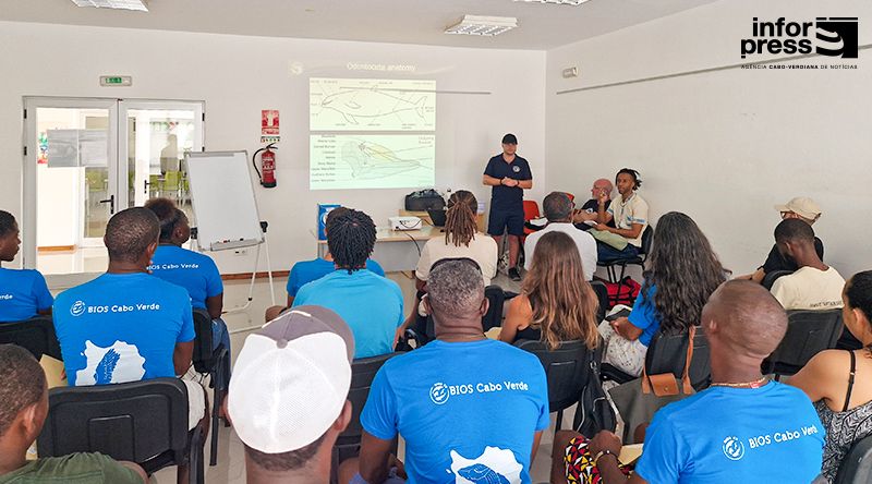 Boa Vista: Fundação Tartaruga reforça capacidade de resposta a arrojamentos de cetáceos com formação e equipamentos