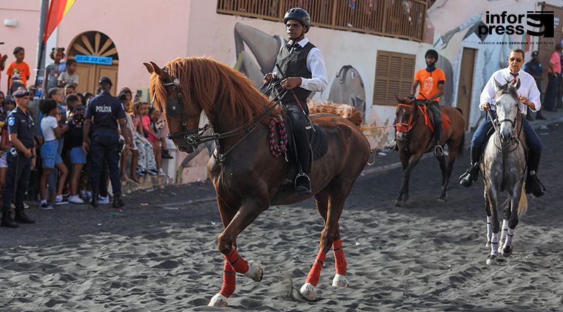 Festividades/São Filipe: Cavalo morre menos de 24 horas depois de participar na cavalhada no Alto São Pedro