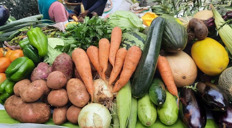 Porto Novo: Agricultores desejam instalação de um entreposto agrícola na Ribeira das Patas