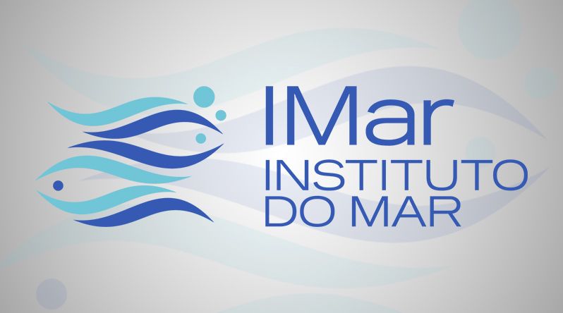 Santo Antão: Instituto do Mar realiza primeira Jornada Técnico-Científica para reforçar governação e alinhamento estratégico