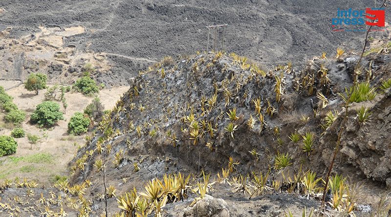 Incêndio/Santa Catarina do Fogo: Ministério da Agricultura inicia “levantamento exaustivo” de danos
