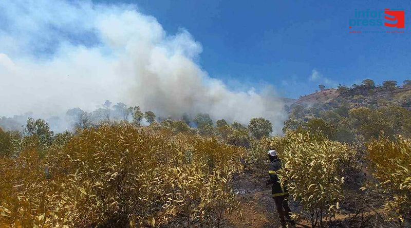 Fogo: Bombeiros municipais combatem duas frentes de incêndio activas na encosta da Serra