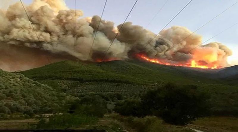 Cerca de 3.500 pessoas retiradas na Toscana devido a incêndio florestal