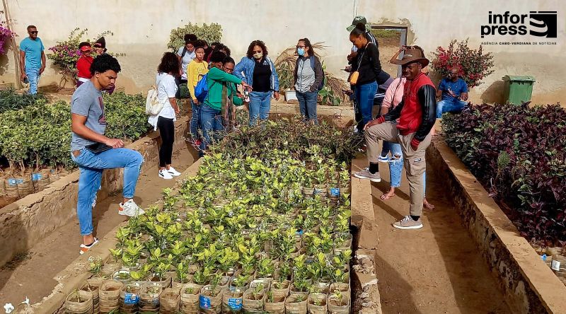 Fogo: UTA disponibiliza 12 bolsas de estudo para estudantes dos três municípios da ilha