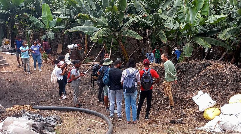 ICTA exorta jovens a se inscreverem nos cursos de agronomia e zootecnia