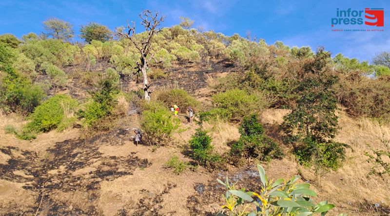 Santa Catarina: Responsável apela à união de todas as forças vivas na sensibilização contra queimadas e combate a incêndios (c/áudio)