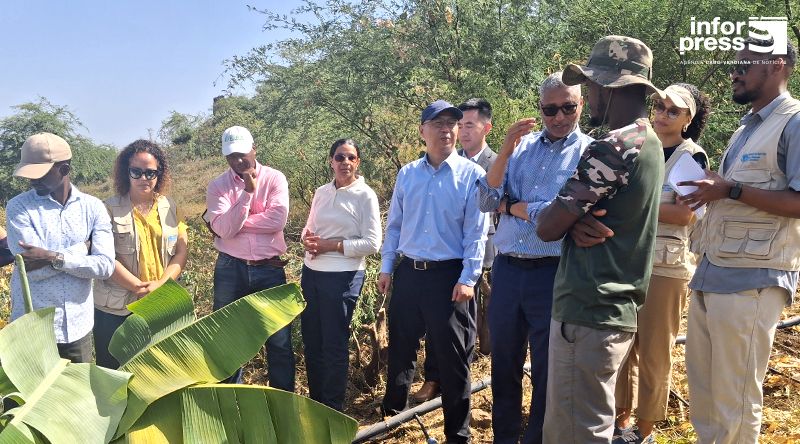 Cabo Verde quer prolongar cooperação agrícola com a China após resultados positivos