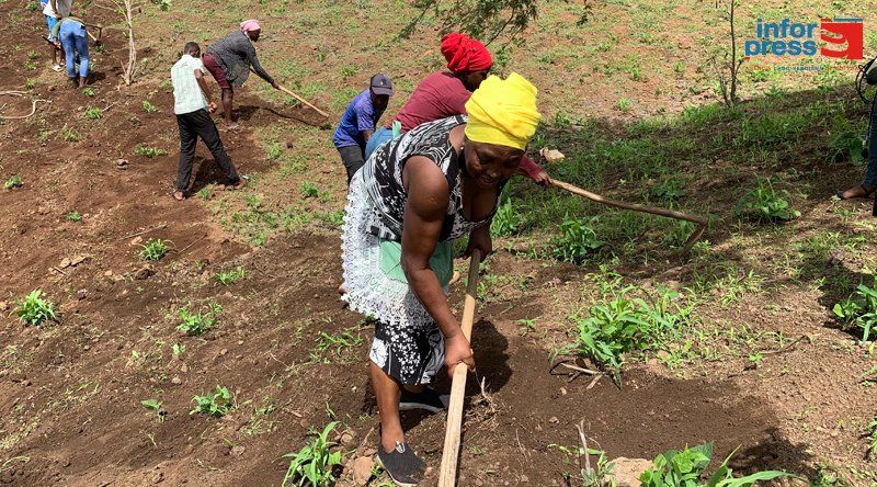 REPORTAGEM / Mulheres Rurais: entre a terra, o mar e o sonho de um futuro melhor