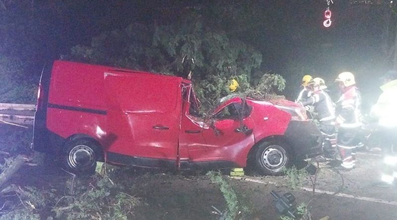 Mau Tempo/Portugal: Um morto em queda de árvore em cima de carro em Vila Franca de Xira 