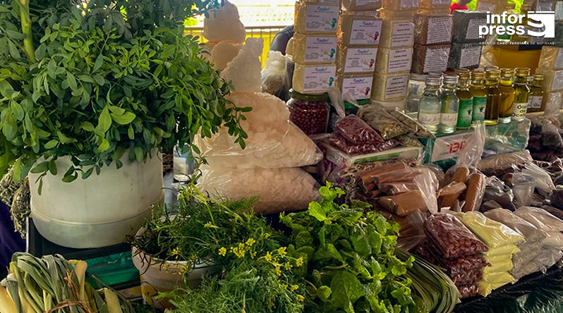 Desperdício alimentar e carência económica em Cabo Verde