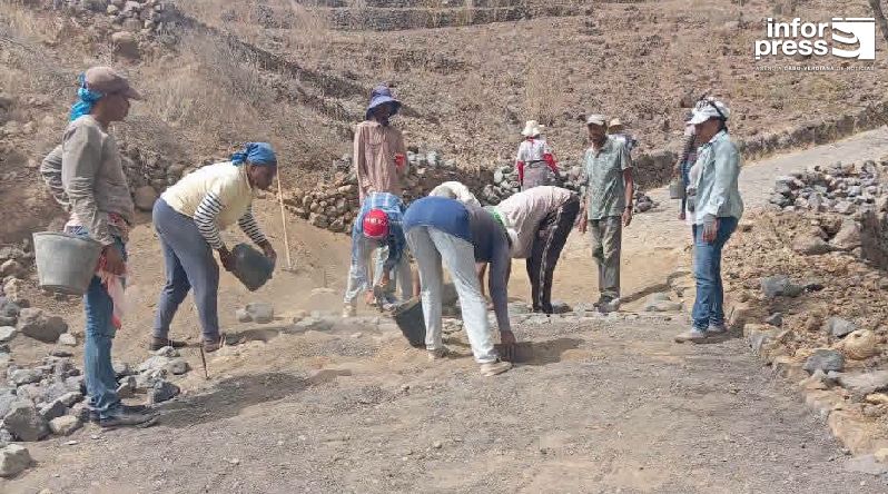Porto Novo: Obras de manutenção de estradas e caminhos vicinais empregam 40 famílias