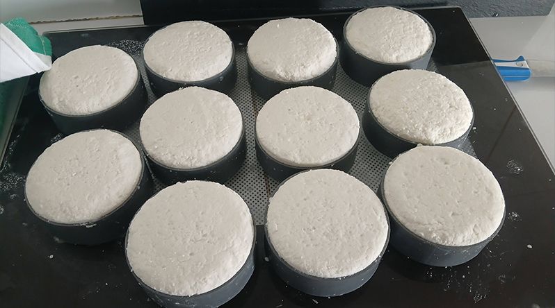 Porto Novo/Planalto Norte: Produtores de queijo antevêem quebra na produção devido à falta de ração no mercado