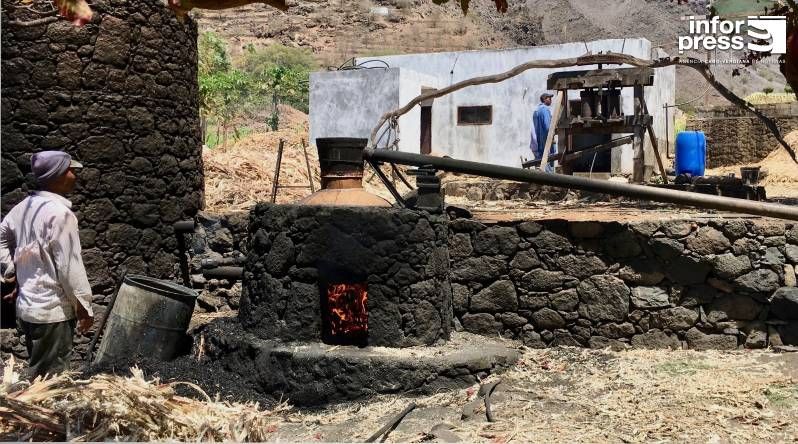 Santo Antão: Cromatógrafo estará a funcionar até final de Maio para dar suporte no controlo da qualidade do grogue – AMSA