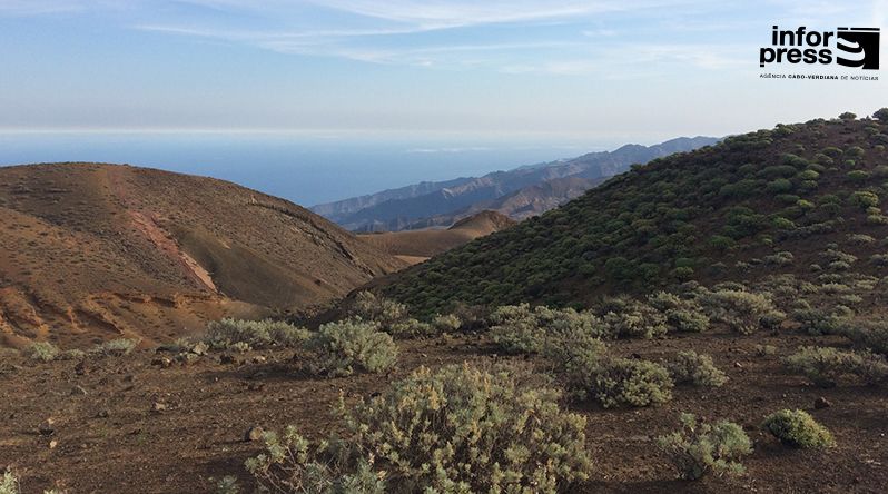 Porto Novo/Planalto Norte: Criadores de gado defendem que confinamento do gado vai exigir investimentos em currais