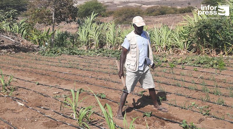 Porto Novo: Ministério da Agricultura agradado com andamento do projecto hidroagrícola de Gamboeza