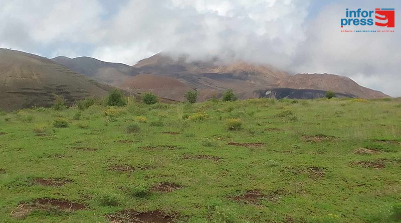 Porto Novo/Ano agrícola: Mau tempo e pragas tiram esperança aos camponeses no Planalto Norte