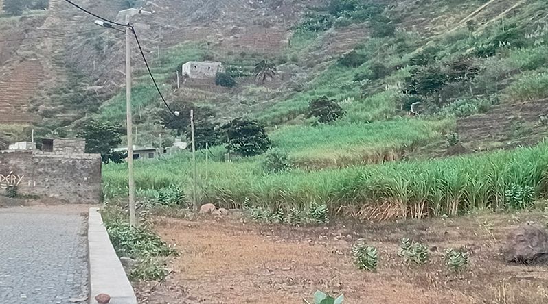 Porto Novo: Comunidade de Chã de Branquinho volta a alertar para a má qualidade de água para consumo