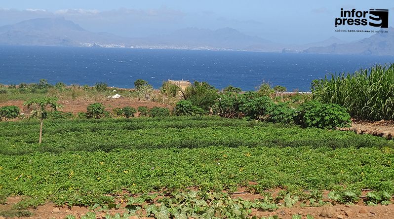 Porto Novo: Mais de 450 famílias com parcelas agrícolas doadas pelo Estado em todo o município – Governo
