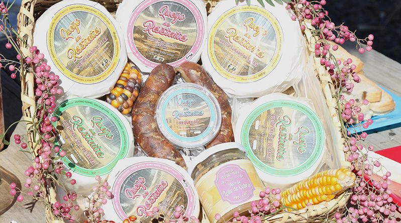 Porto Novo: Produtores confiantes na criação de condições para certificação do queijo do Planalto Norte