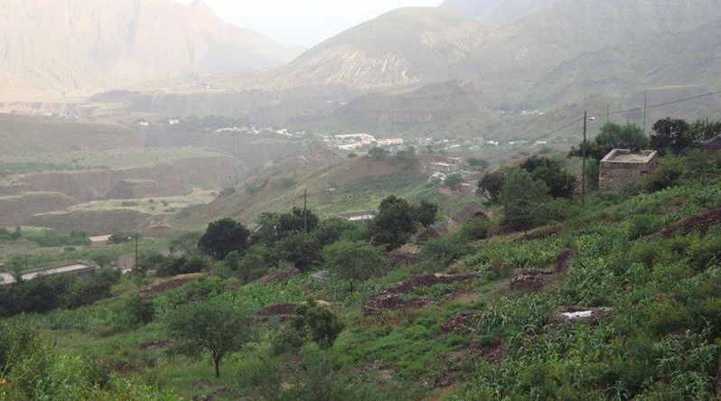 Porto Novo: Agricultores preocupados com acção das acácias americanas na agricultura de regadio