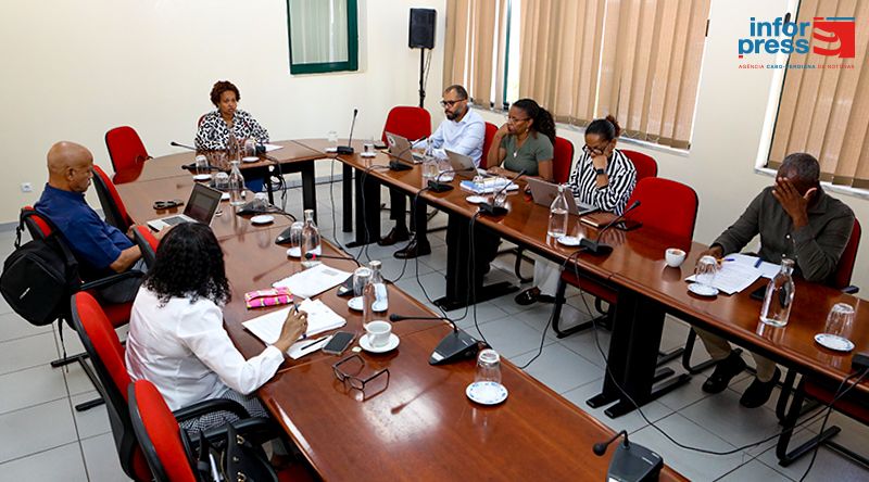Carmen Martins confiante na aprovação do novo Regimento da Assembleia Nacional ainda nesta legislatura