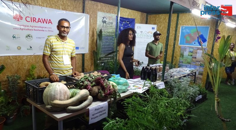 Porto Novo/São João: Produtores agrícolas voltam a alertar para a falta de mão de obra na agricultura