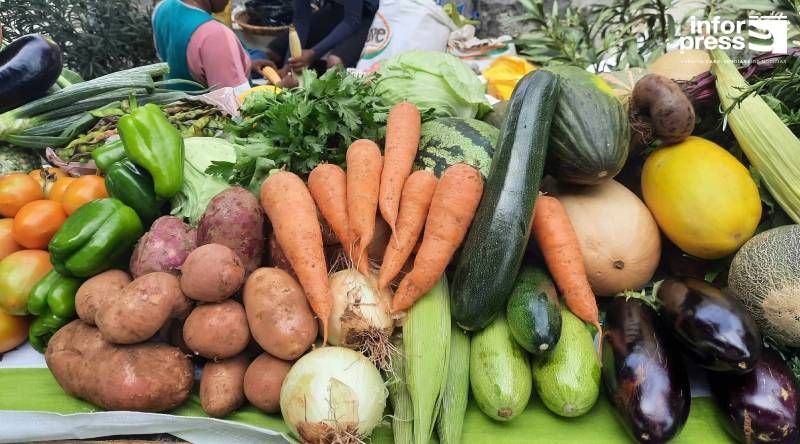 Porto Novo: MAA ultima preparativos para a feira agro-pecuária de Ponte Sul/Chã de Mato