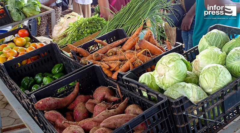 Porto Novo: Produtores agrícolas conseguem abastecer o mercado apesar da escassez de água
