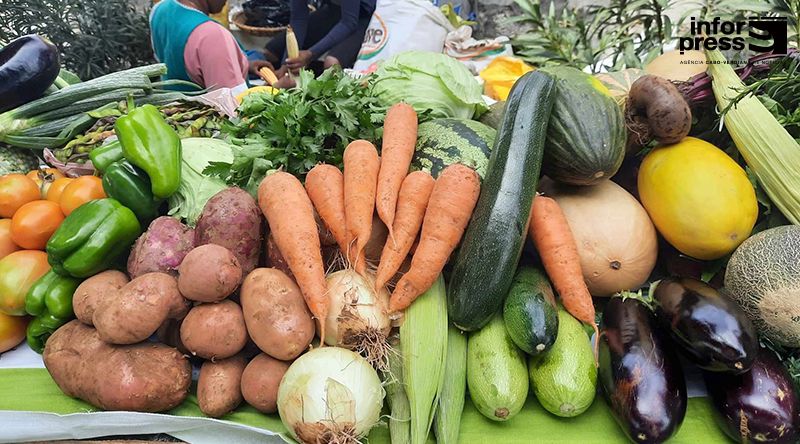 Santo Antão: Entrepostos agrícolas recebem materiais da FAO e do Ministério da Agricultura e Ambiente
