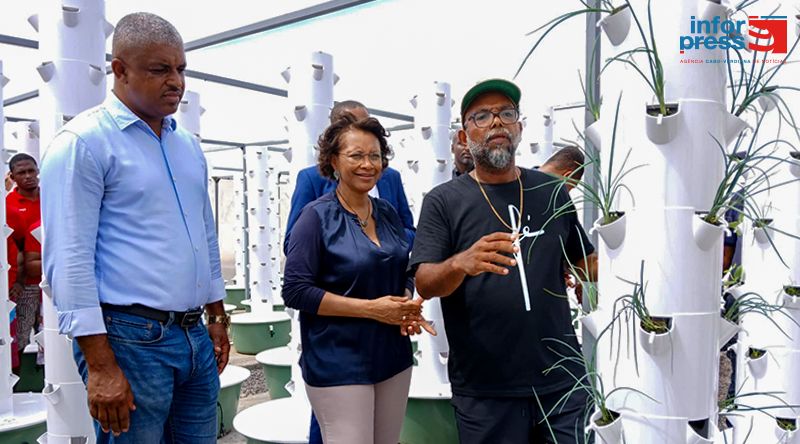 Inaugurado projecto de aeroponia na Cadeia Central da Praia para reduzir despesas com alimentação