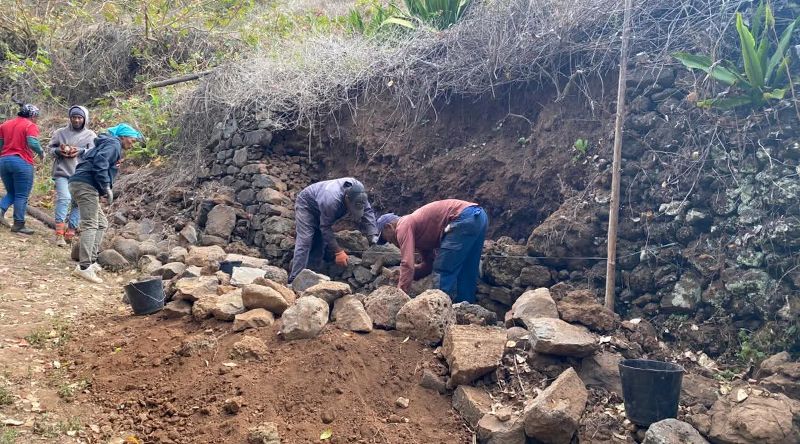 São Nicolau: Projecto Eco-Raízes promove reabilitação dos caminhos vicinais do Parque Natural de Monte Gordo