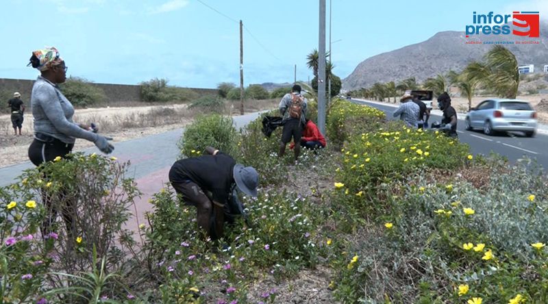 Tarrafal: Projecto Terravibes realiza campanha de limpeza e anuncia terceira edição do festival
