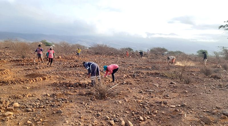 Porto Novo: Projecto sobre sistemas agroflorestais possibilita restaurar de ecossistemas naturais