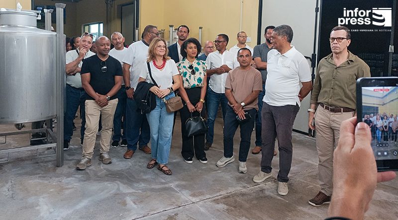Fogo: Participantes do Provinho visitam principais adegas da ilha