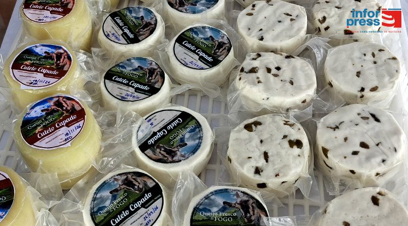 Fogo: Cooperativa Cutelo Capado produz actualmente menos de 100 queijos por dia devido ao impacto da seca – presidente