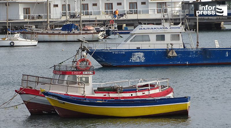 São Vicente: Rede Marigual oficializada para determinar próximos passos – membro