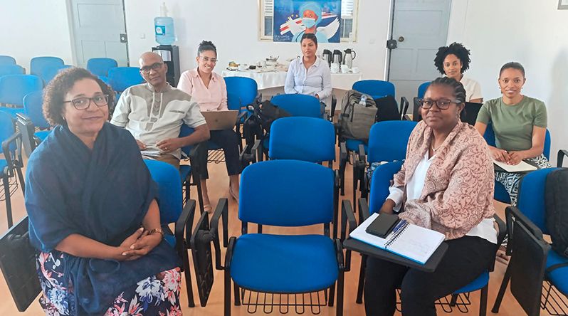 Comissão multissetorial reforça vigilância contra epidemias e proliferação de roedores   