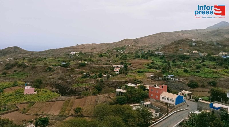 Porto Novo: Agricultores preparam sementeira da batata comum com perspectivas de boa produção