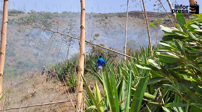 Santa Catarina: Três incêndios mobilizam bombeiros de três municípios e reforçam alerta contra queimadas