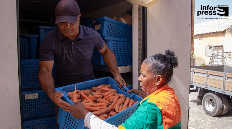 Santo Antão: Profissionalização da Aliança de Produtores avança com assinatura de contratos com entrepostos agrícolas