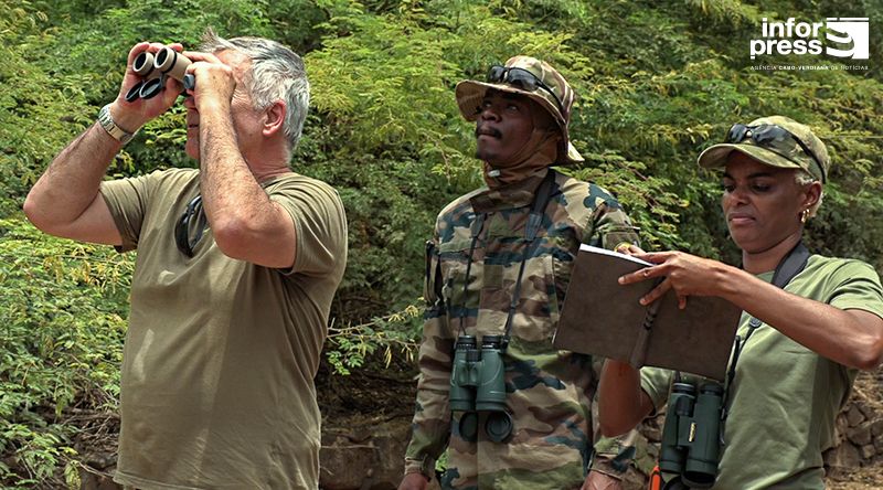 Associação defende coexistência e rejeita abate como solução para praga de macacos