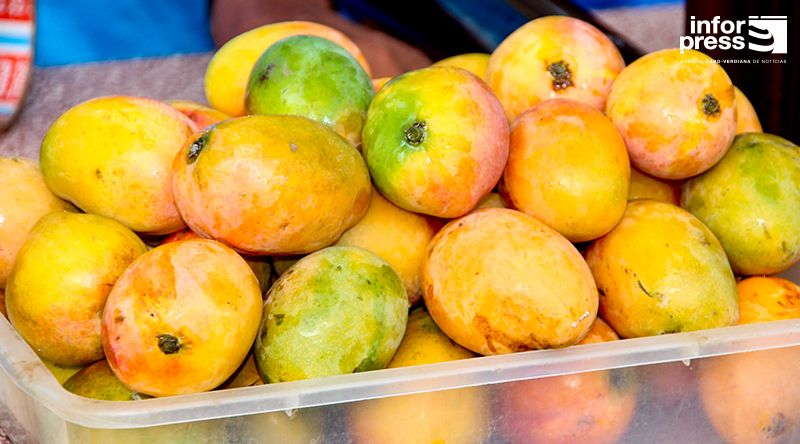 Porto Novo/Ribeira das Patas: Segunda edição da feira gastronómica da manga acontece este sábado