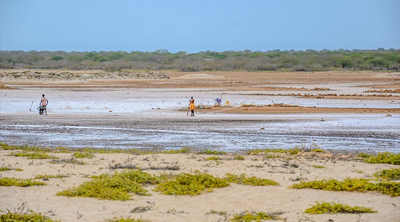 REPORTAGEM/Maio: Seis anos de Reserva da Biosfera entre o reconhecimento internacional e o desafio de chegar às comunidades