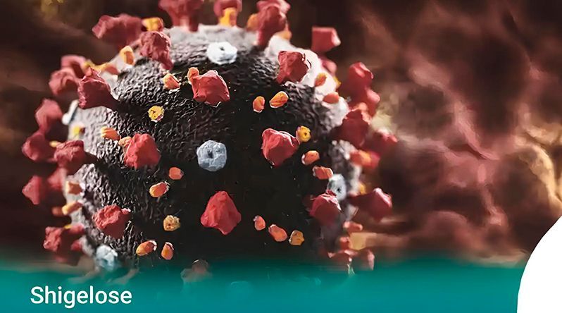 INSP inicia investigação na ilha do Sal para averiguar casos de shigelose denunciados por turistas