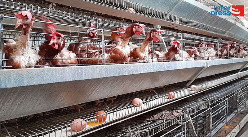 São Vicente/Chuvas: Sociave retoma abastecimento de mercado após prejuízo de mais de 30 mil contos (c/áudio)