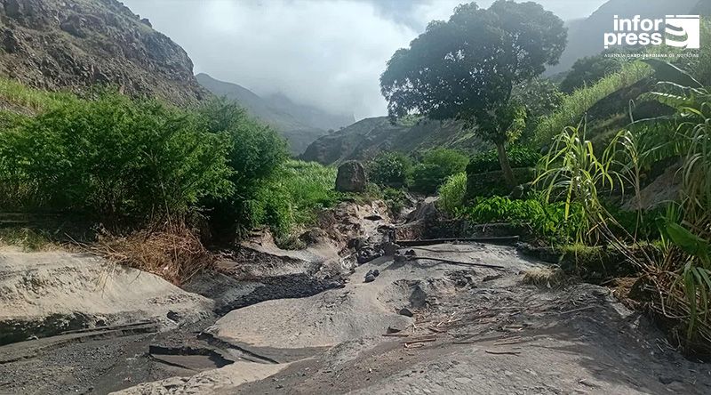 Porto Novo: Líder dos agricultores do Tarrafal de Monte Trigo pede "urgência no socorro" aos produtores do inhame