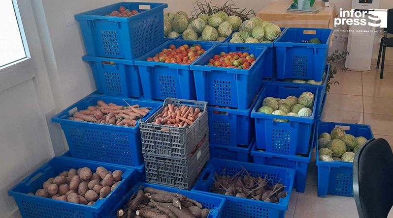 Porto Novo: Agricultores esperam do novo governo a operacionalização do entreposto agrícola no Tarrafal de Monte Trigo