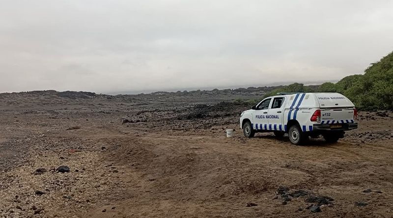 Porto Novo: Terrimar denuncia abate de tartaruga marinha na praia de Matinho Verde